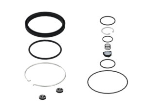 Kit: Valve + Seal - 4620070032