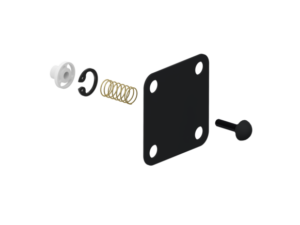 Kit: Diaphragm + Valve - 4341000032