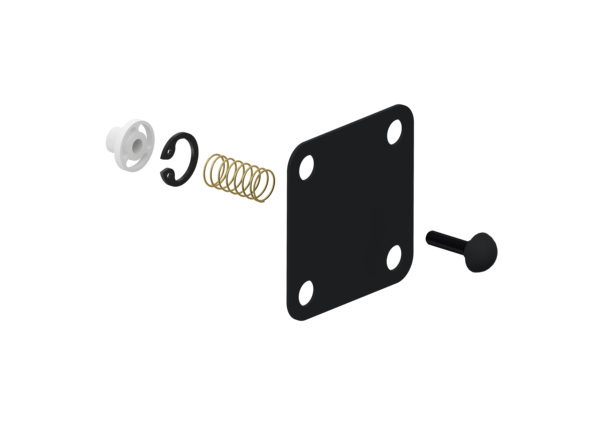 Kit: Diaphragm + Valve - 4341000032