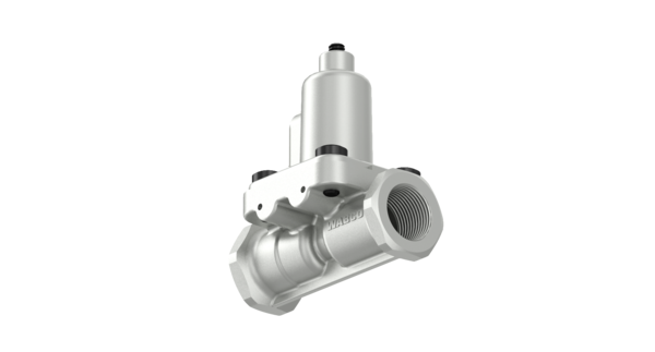 Charging Valve - 4341000470