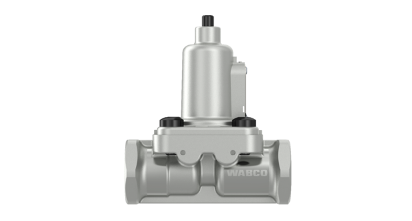 Charging Valve - 4341001440