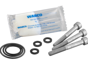 Kit: Fastening Screw - 4615139202