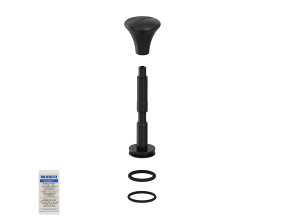 Kit: Push-Button + Valve Stem - 4630849202