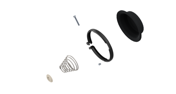 Kit: Diaphragm + Spring - 9253769202