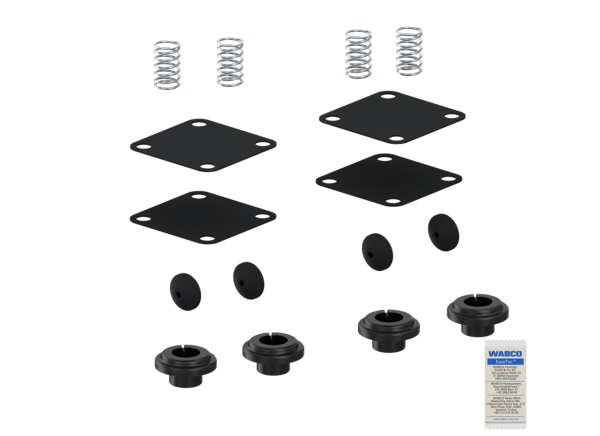 Kit: Diaphragm + Valve - 9349010052