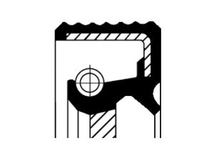 19036888B - Shaft Seal, camshaft - 19036888b