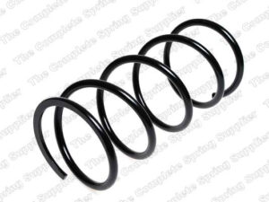 16131 Coil Spring - 16131