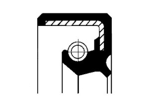 19035253B - Shaft Seal, power steering pump - 19035253b