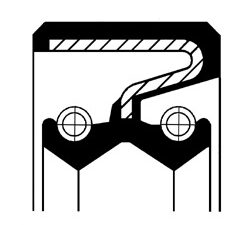 19035166B - Shaft Seal, differential - 19035166b