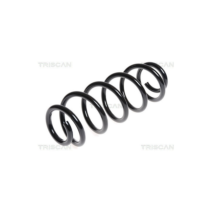 14.876.050 Coil Spring - 14-876-050